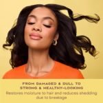 ⁦SHEA MOISTURE- 326g ماسك الشعر شيا مويستر بزيت الخروع⁩ - الصورة ⁦4⁩