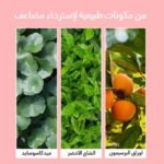 ⁦BODY PEELING PAD- وصفة استحمام الأم - وسادة تقشير للعناية بالجسم⁩ - الصورة ⁦5⁩