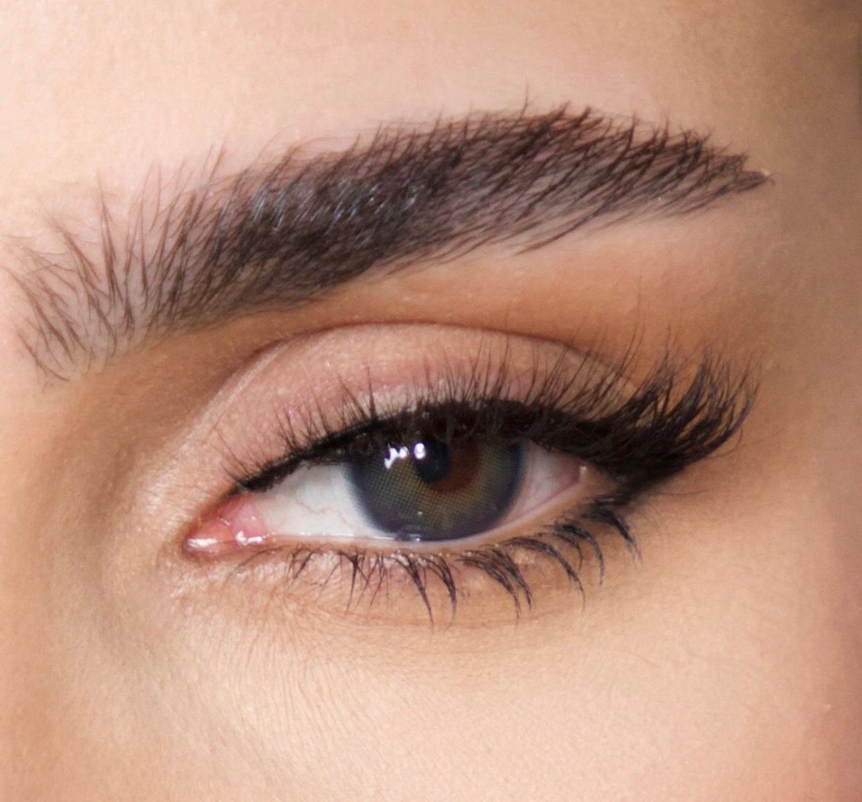 Screenshot SAHAR LASHES رموش سحر بيرفكت - الصورة 1