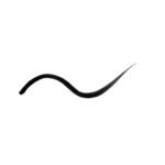 ⁦ELF- 3.5mL محدد العيون السائل الدقيق من إي. إل. إف. كوزمتكس⁩ - الصورة ⁦3⁩